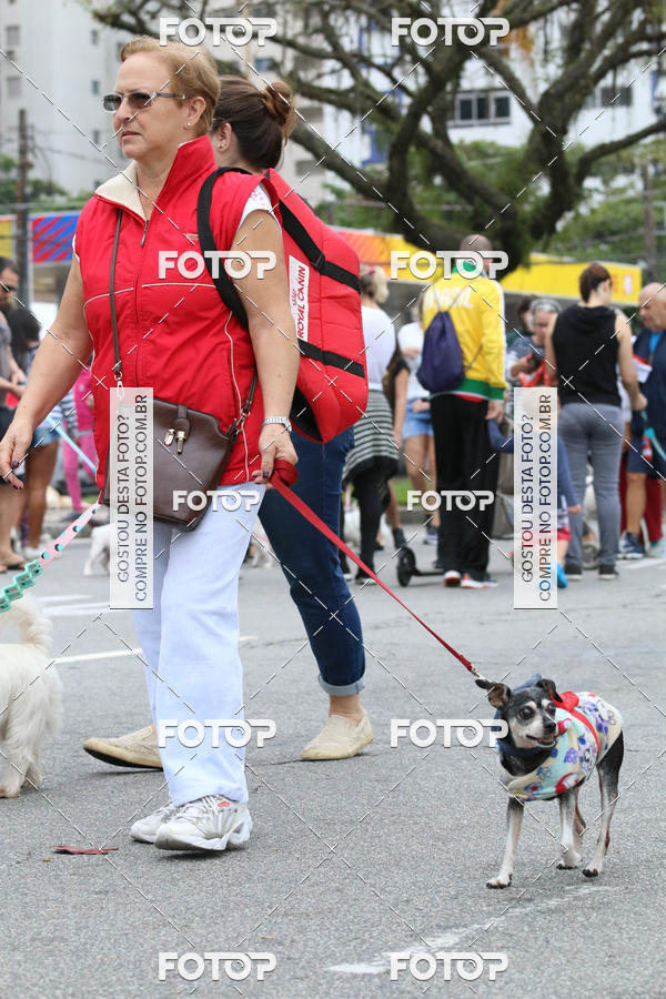 Buy your photos of the event13� C�ominhada - Santos on Fotop