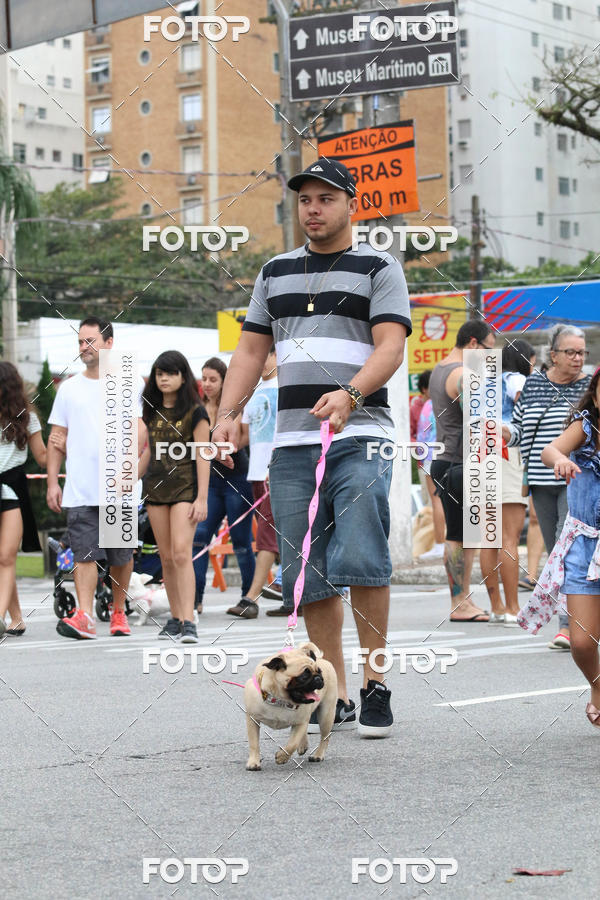 Buy your photos of the event13� C�ominhada - Santos on Fotop