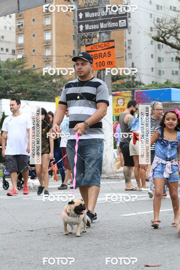 Buy your photos of the event13� C�ominhada - Santos on Fotop