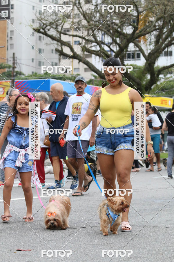 Buy your photos of the event13� C�ominhada - Santos on Fotop