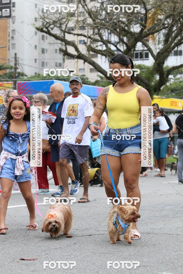 Buy your photos of the event13� C�ominhada - Santos on Fotop