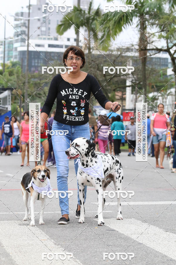 Buy your photos of the event13� C�ominhada - Santos on Fotop