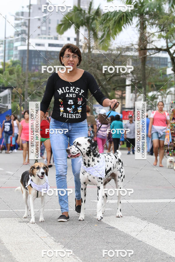 Buy your photos of the event13� C�ominhada - Santos on Fotop