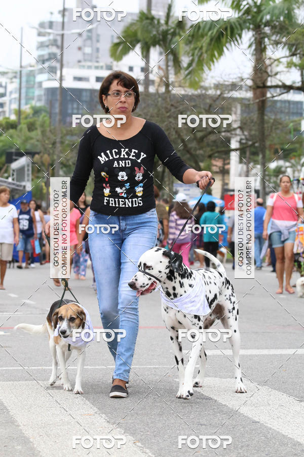 Buy your photos of the event13� C�ominhada - Santos on Fotop