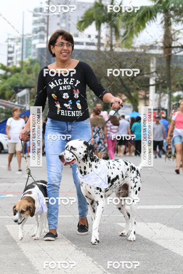 Buy your photos of the event13� C�ominhada - Santos on Fotop