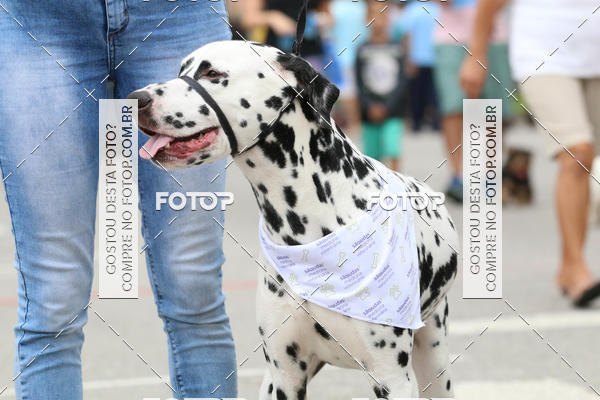 Buy your photos of the event13� C�ominhada - Santos on Fotop