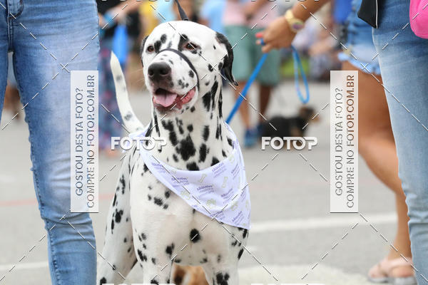 Buy your photos of the event13� C�ominhada - Santos on Fotop