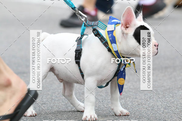 Buy your photos of the event13� C�ominhada - Santos on Fotop