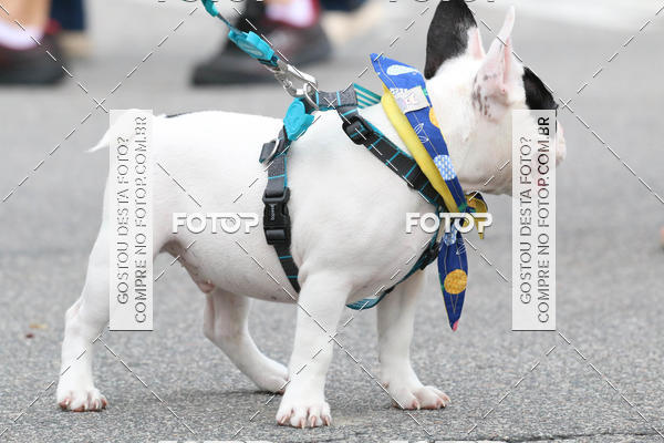 Buy your photos of the event13� C�ominhada - Santos on Fotop