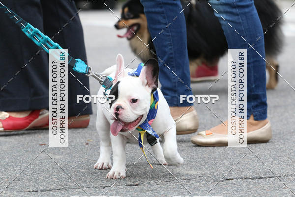 Buy your photos of the event13� C�ominhada - Santos on Fotop