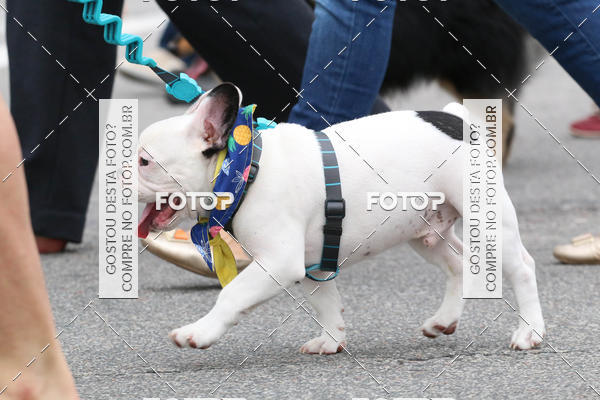 Buy your photos of the event13� C�ominhada - Santos on Fotop