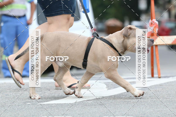 Buy your photos of the event13� C�ominhada - Santos on Fotop