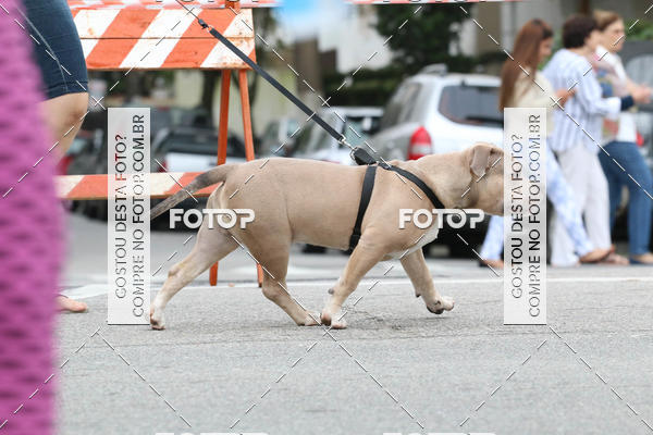 Buy your photos of the event13� C�ominhada - Santos on Fotop