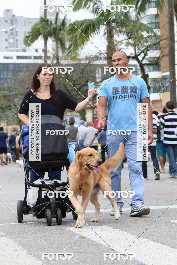 Buy your photos of the event13� C�ominhada - Santos on Fotop