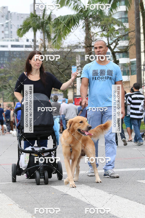 Buy your photos of the event13� C�ominhada - Santos on Fotop