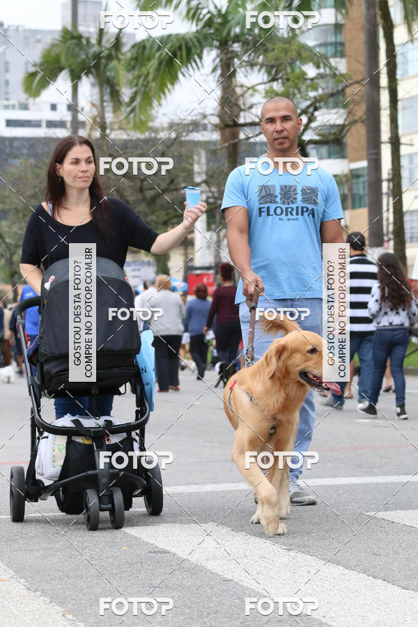 Buy your photos of the event13� C�ominhada - Santos on Fotop