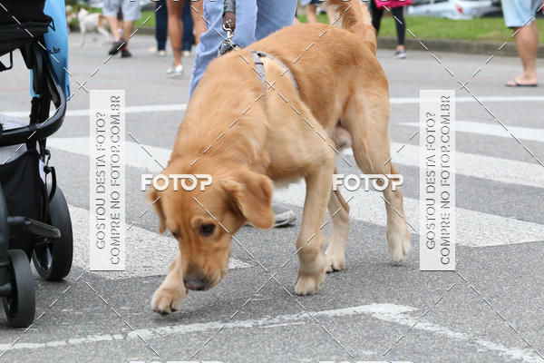 Buy your photos of the event13� C�ominhada - Santos on Fotop