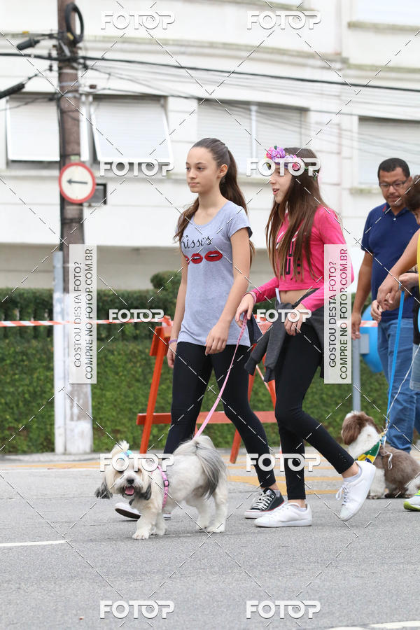 Buy your photos of the event13� C�ominhada - Santos on Fotop