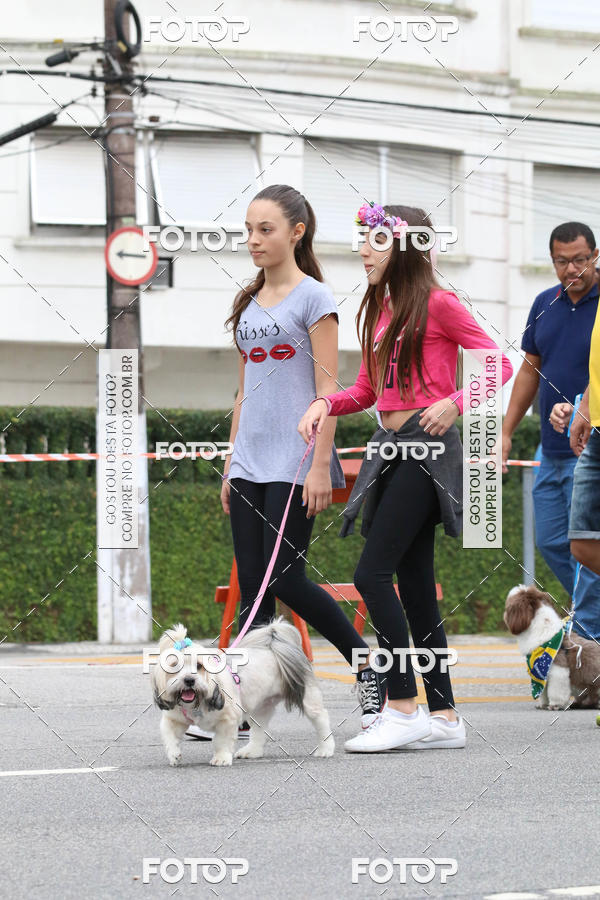 Buy your photos of the event13� C�ominhada - Santos on Fotop