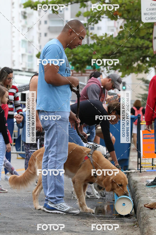 Buy your photos of the event13� C�ominhada - Santos on Fotop