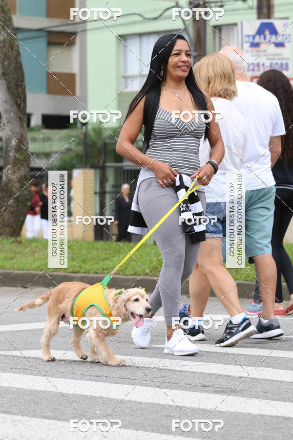 Buy your photos of the event13� C�ominhada - Santos on Fotop