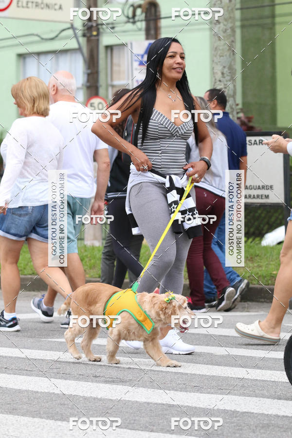 Buy your photos of the event13� C�ominhada - Santos on Fotop