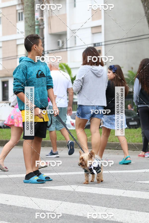 Buy your photos of the event13� C�ominhada - Santos on Fotop
