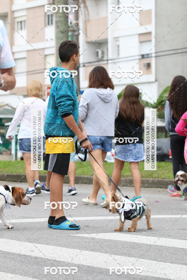 Buy your photos of the event13� C�ominhada - Santos on Fotop