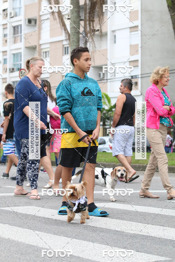 Buy your photos of the event13� C�ominhada - Santos on Fotop