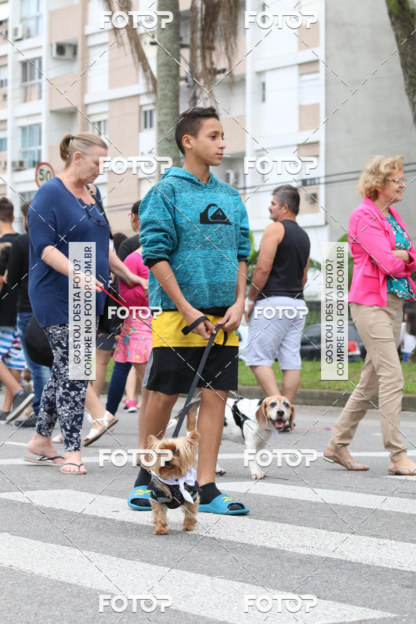 Buy your photos of the event13� C�ominhada - Santos on Fotop