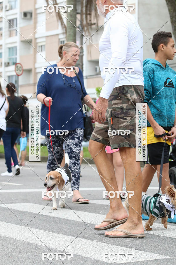 Buy your photos of the event13� C�ominhada - Santos on Fotop