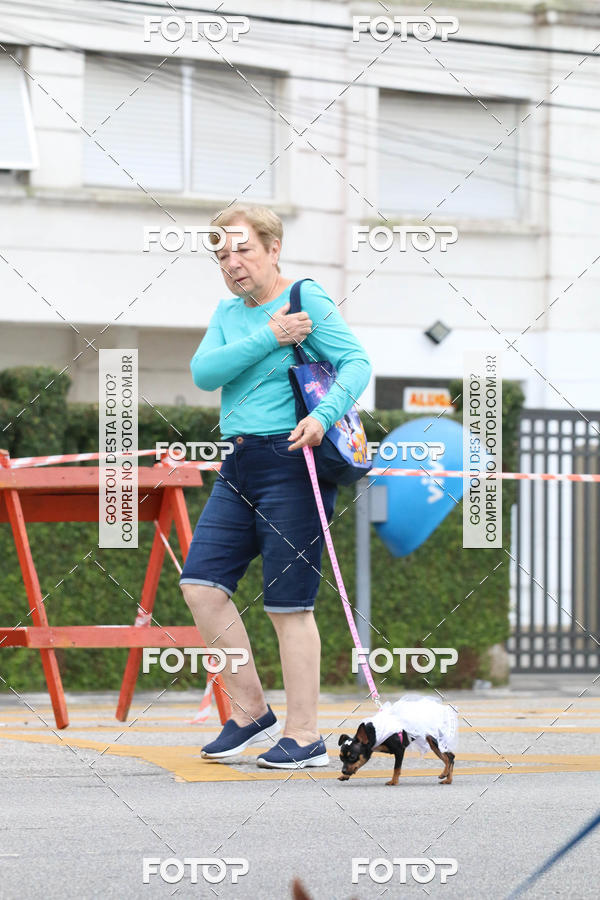 Buy your photos of the event13� C�ominhada - Santos on Fotop