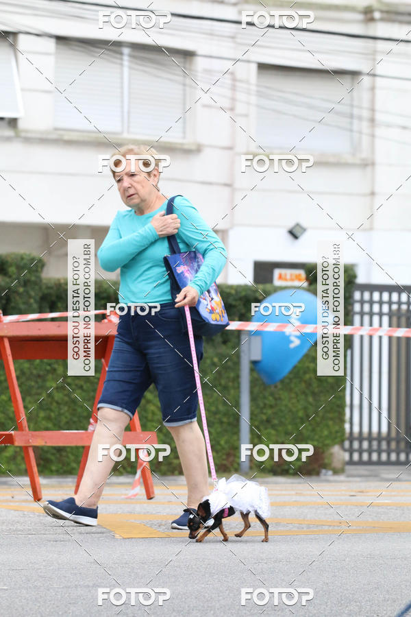 Buy your photos of the event13� C�ominhada - Santos on Fotop