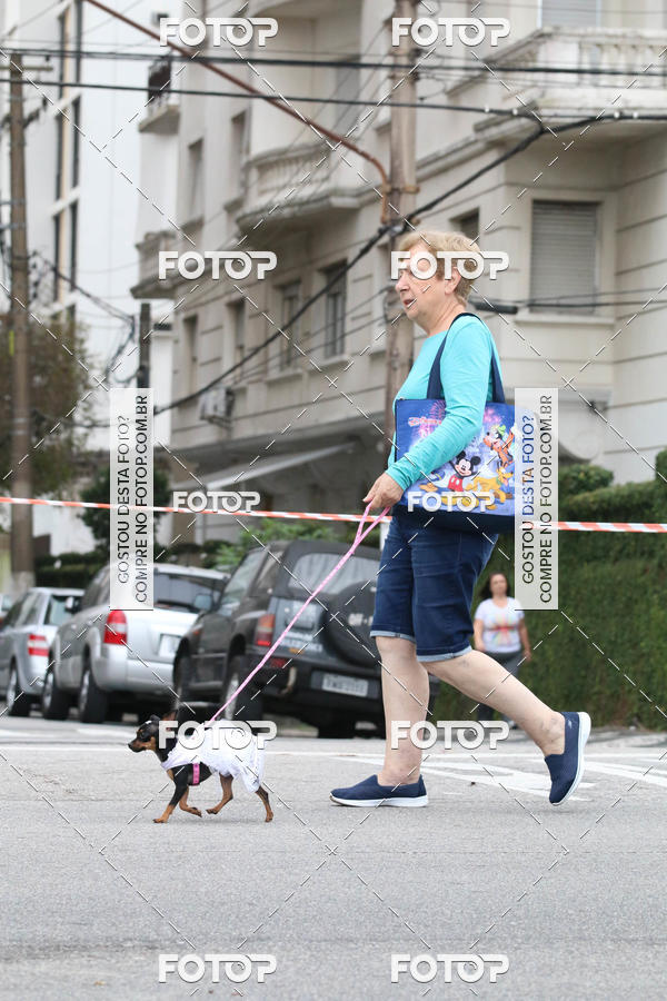 Buy your photos of the event13� C�ominhada - Santos on Fotop