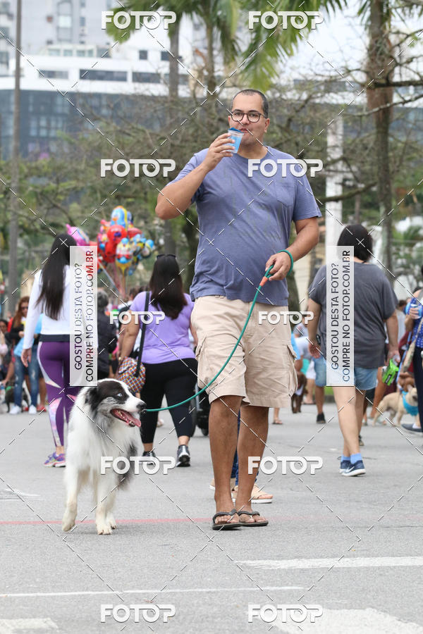 Buy your photos of the event13� C�ominhada - Santos on Fotop