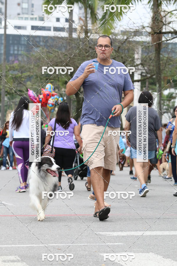 Buy your photos of the event13� C�ominhada - Santos on Fotop