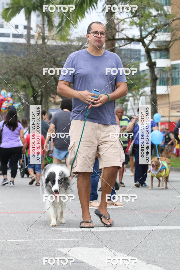 Buy your photos of the event13� C�ominhada - Santos on Fotop