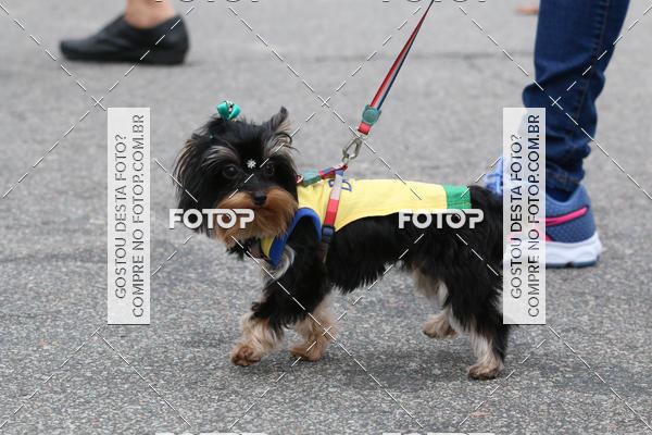 Buy your photos of the event13� C�ominhada - Santos on Fotop