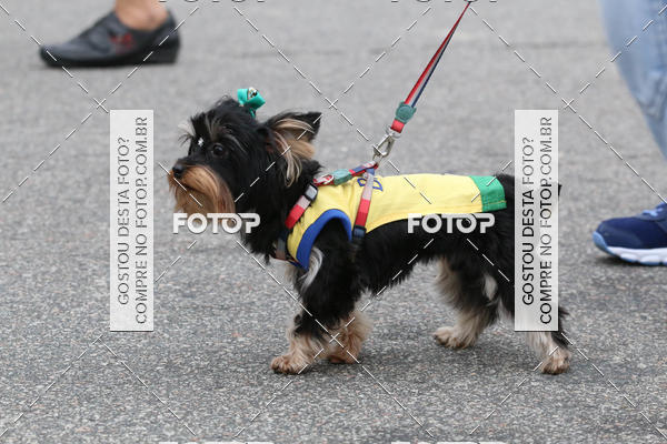 Buy your photos of the event13� C�ominhada - Santos on Fotop