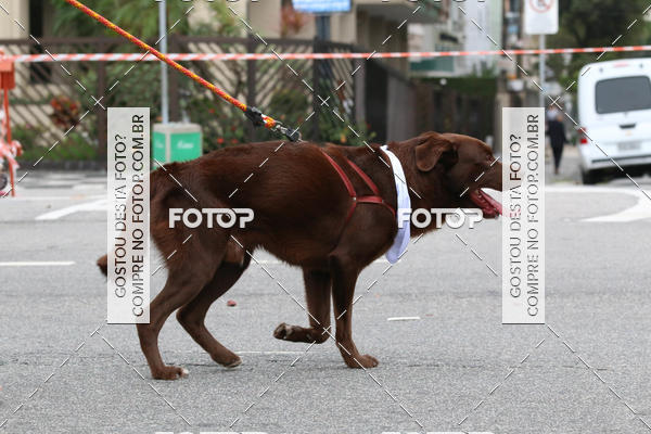 Buy your photos of the event13� C�ominhada - Santos on Fotop