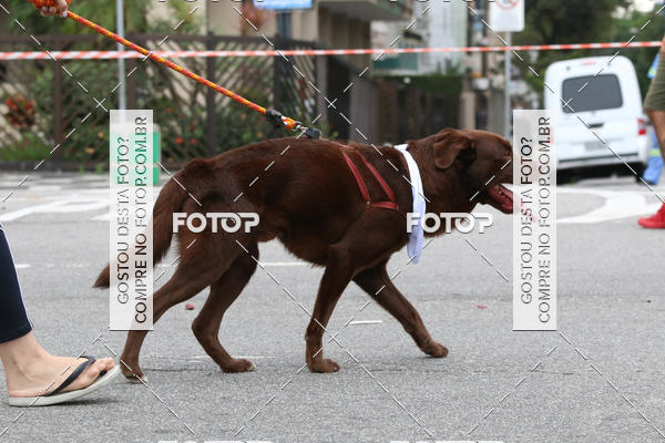 Buy your photos of the event13� C�ominhada - Santos on Fotop