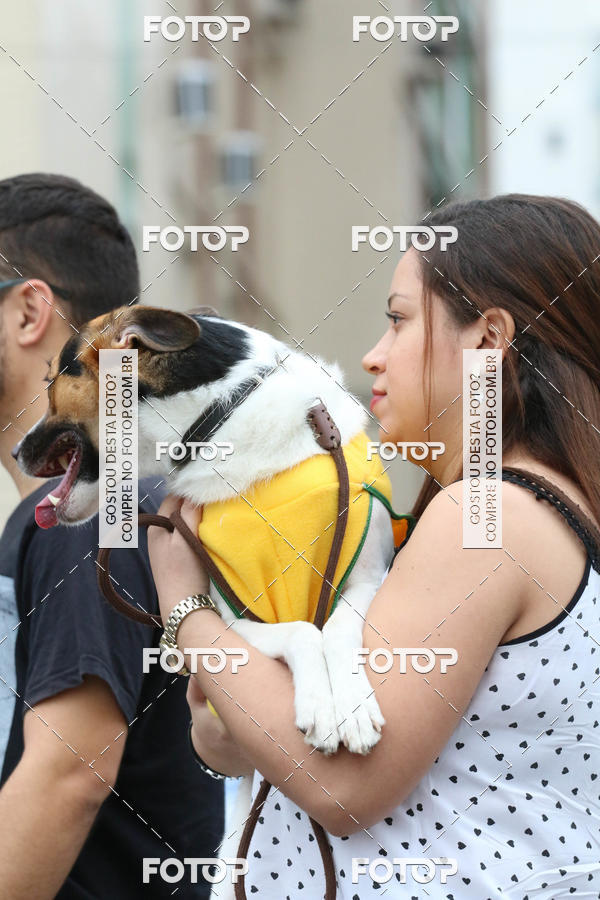 Buy your photos of the event13� C�ominhada - Santos on Fotop