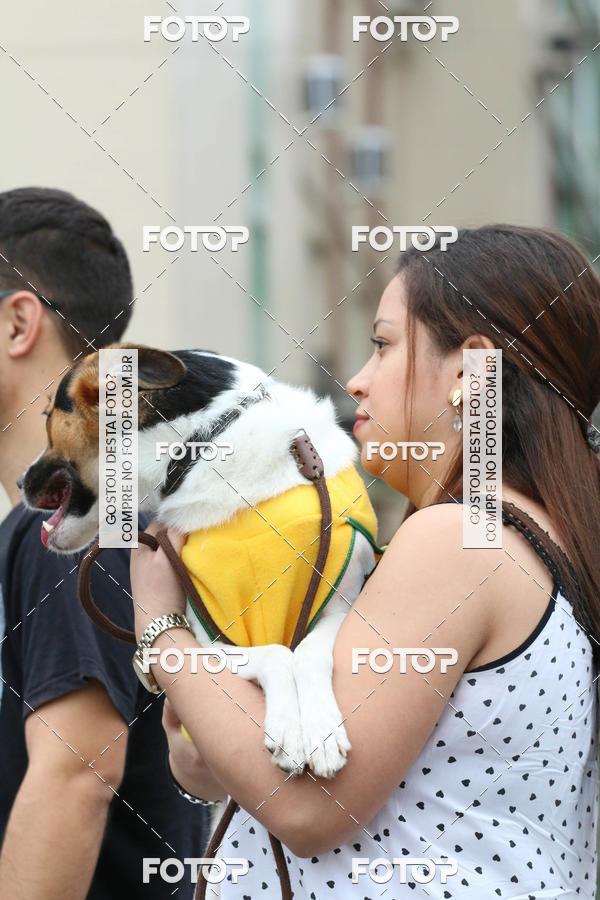 Buy your photos of the event13� C�ominhada - Santos on Fotop