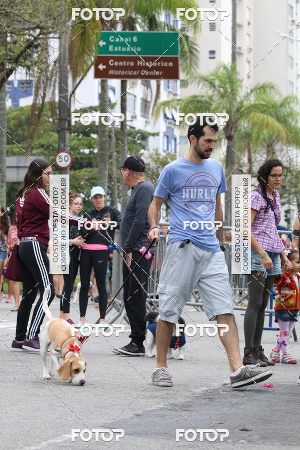 Buy your photos of the event13� C�ominhada - Santos on Fotop