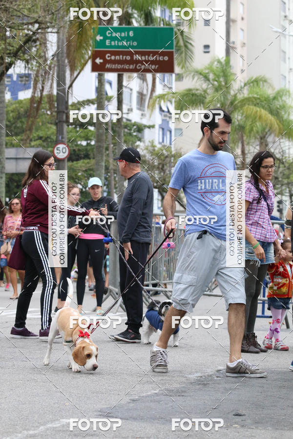 Buy your photos of the event13� C�ominhada - Santos on Fotop