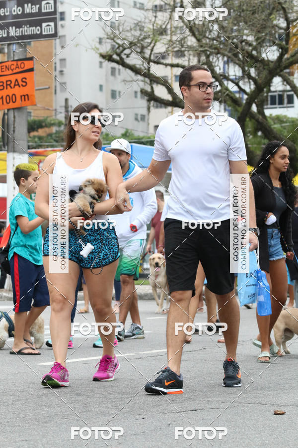 Buy your photos of the event13� C�ominhada - Santos on Fotop