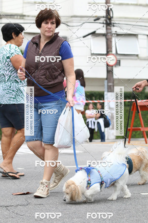 Buy your photos of the event13� C�ominhada - Santos on Fotop