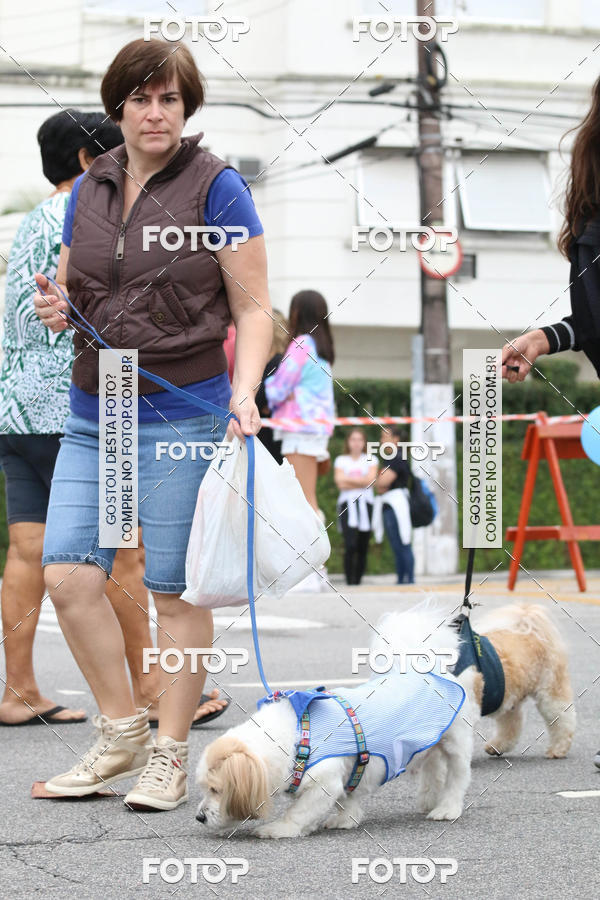 Buy your photos of the event13� C�ominhada - Santos on Fotop