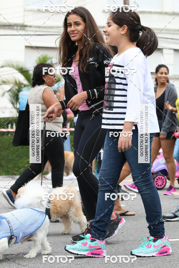 Buy your photos of the event13� C�ominhada - Santos on Fotop