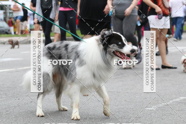 Buy your photos of the event13� C�ominhada - Santos on Fotop